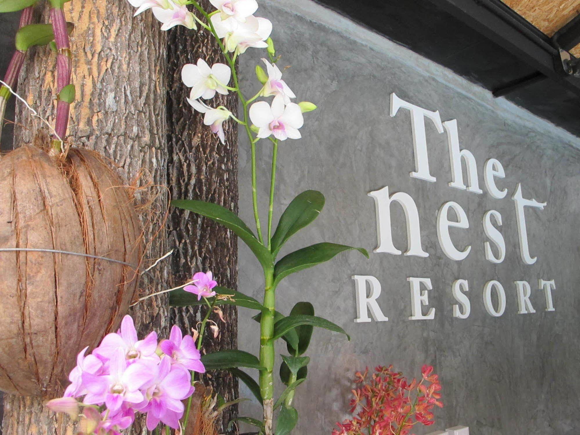 The Nest Resort Patong Eksteriør bilde